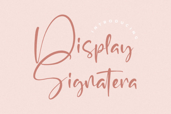 Display Signatera: An Elegant Script Typeface